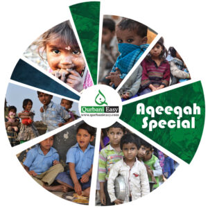 Aqeeqah Qurbani by Qurbani Easy