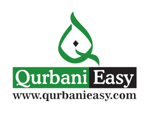 "Qurbani Easy logo: A simple and professional design in an Islamic style, representing the brand's identity and services."