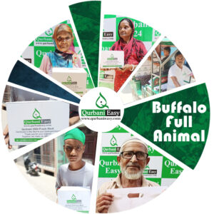 buffallo full animal