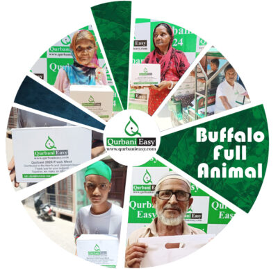 BUFFALO FULL ANIMAL