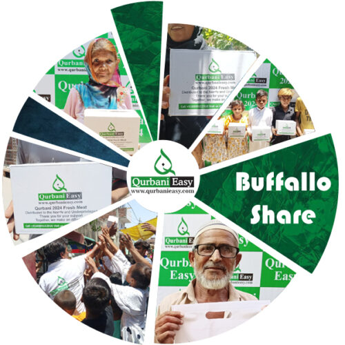 Buffalo Share