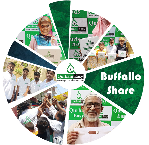 buffalo_share
