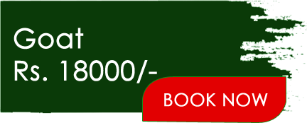 goat_btn