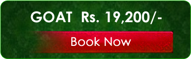 GOAT_BTN1