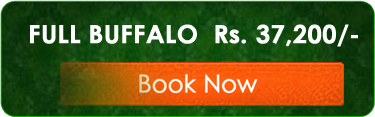 full_buffalo_btn